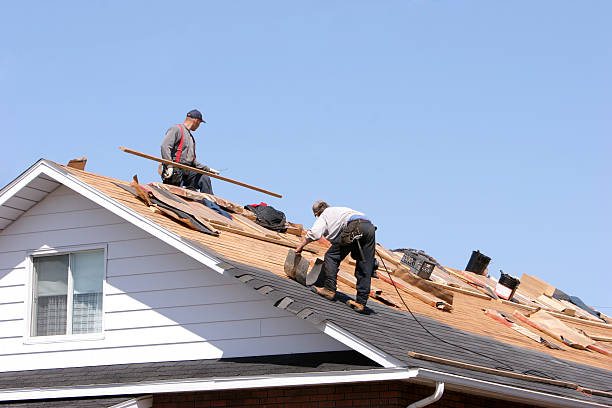 Best Roof Moss and Algae Removal  in South Hill, NY
